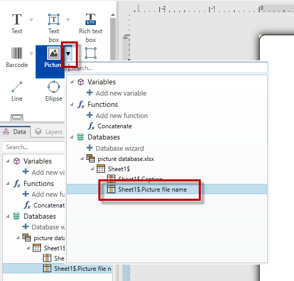 Print variable pictures